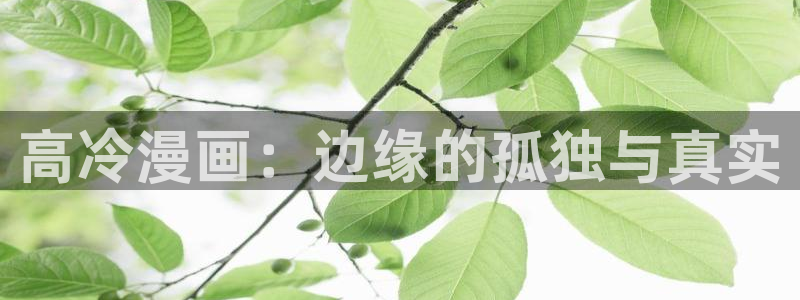 喵趣漫画1.09：高冷漫画：边缘的孤独与真实