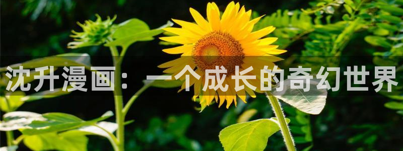 喵趣漫画1.09：沈升漫画：一个成长的奇幻世界