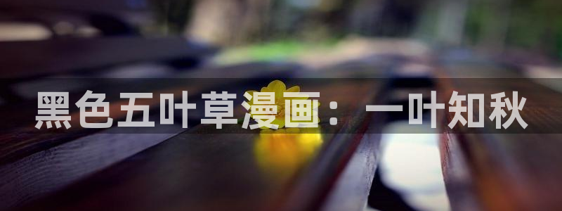 喵趣漫画纯净版怎么下载：黑色五叶草漫画：一叶知秋