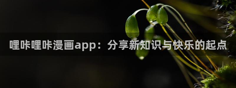 喵趣屋：哩咔哩咔漫画app：分享新知识与快乐的起点