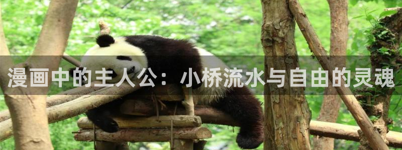 喵趣漫下载：漫画中的主人公：小桥流水与自由的灵魂