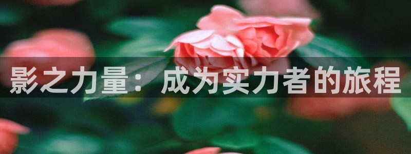 喵趣漫画未删减版：影之力量：成为实力者的旅程