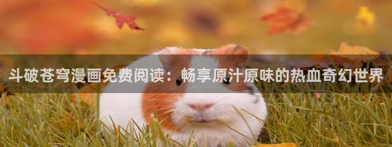 喵趣漫画怎么搜索漫画：斗破苍穹漫画免费阅读：畅享原汁原味的热血奇幻世界