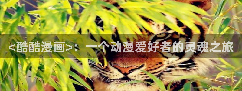 喵趣漫画复活版下载安装：<酷酷漫画>：一个动漫爱好者的灵魂之旅