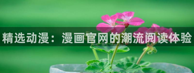 喵趣漫画app正版下载：精选动漫：漫画官网的潮流阅读体验