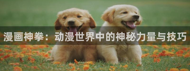 喵趣漫画正版下载ios