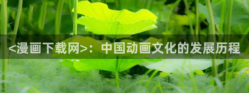 喵趣猫粮好不好