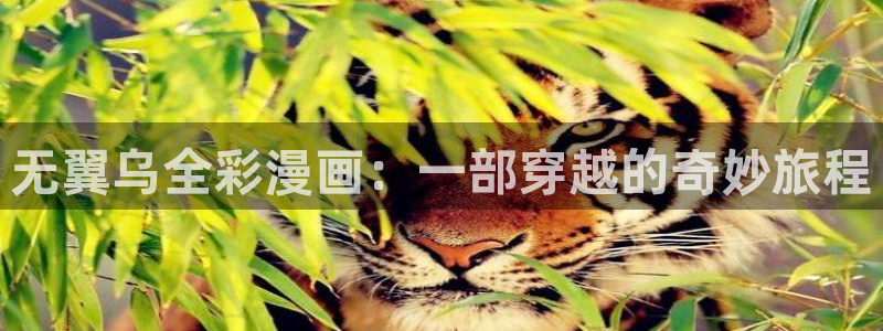 喵趣漫画正版官方