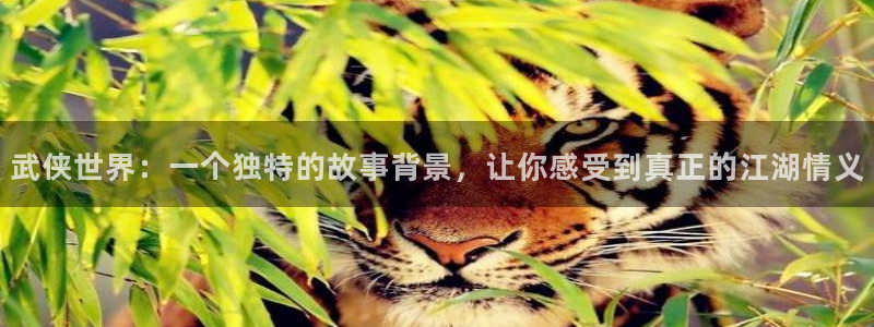 喵趣漫画应用