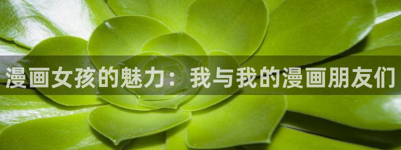 喵趣漫画官方最新版本