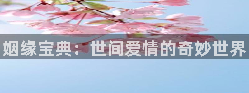 喵趣动漫下载官网
