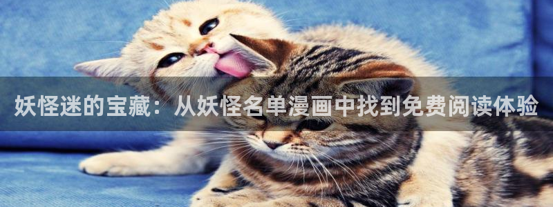 喵趣纯净版